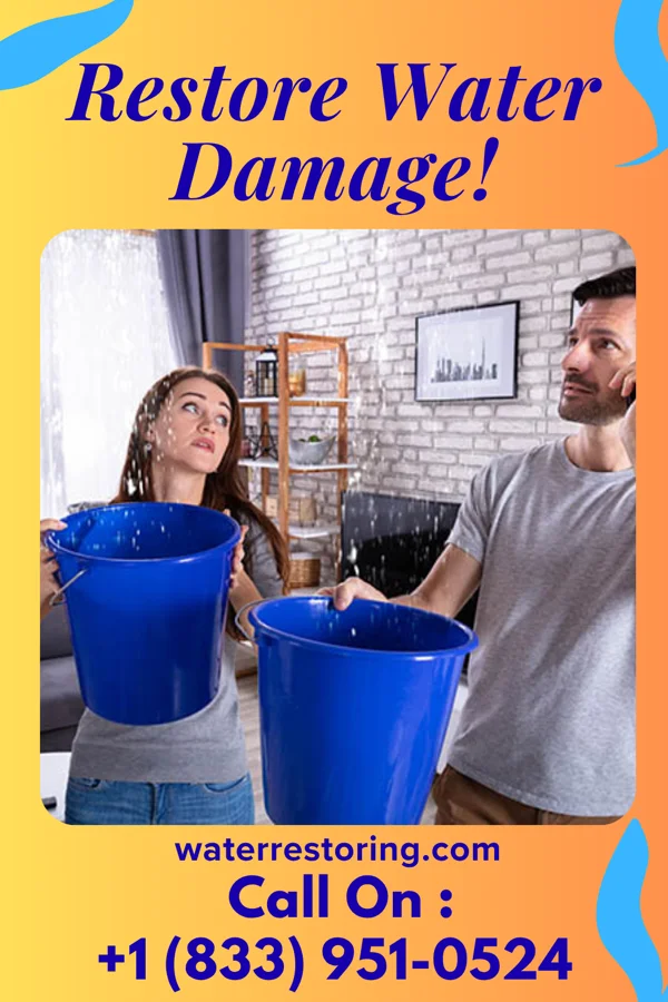 water restoration Premier Sewage Cleanup LLC Carnot-Moon