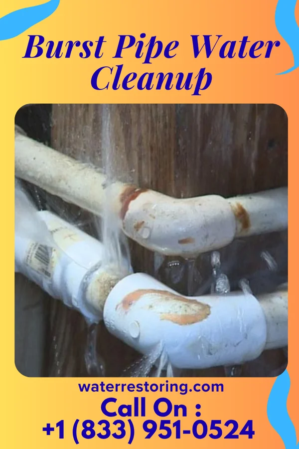 Burst Pipe Water Cleanup in Carnot-Moon, PA