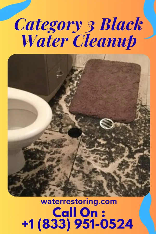 Category 3 Black Water Cleanup in Carnot-Moon, PA