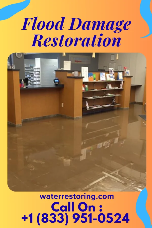 Flood Damage Restoration in Carnot-Moon, PA