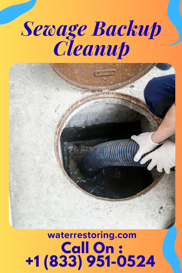 Sewage Backup Cleanup in Carnot-Moon, PA