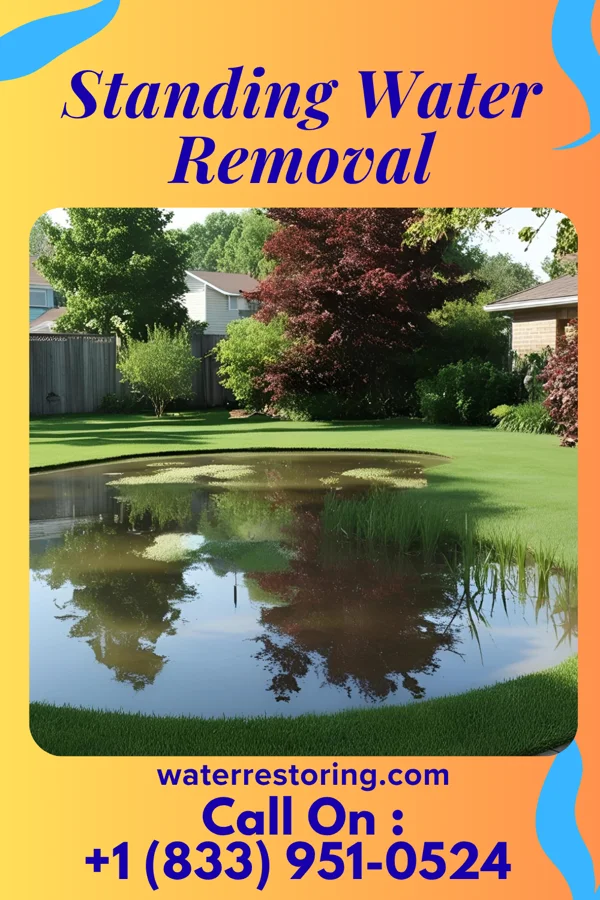 Standing Water Removal in Carnot-Moon, PA